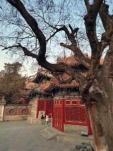 2023 02 05  PEKIN - WANSHOU TEMPLE LONGEVITE BIENVEILLANCE (41)